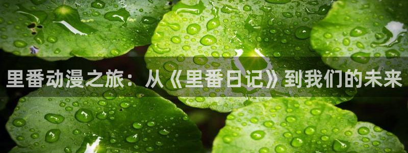 在线动画动漫下载age动漫：里番动漫之旅：从《里番日记》到我们的未来