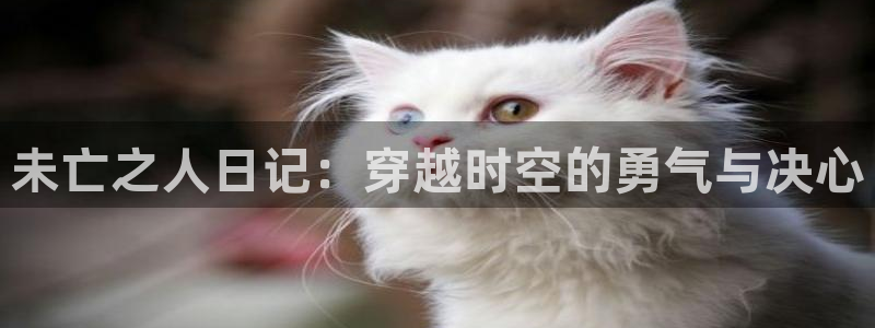 colamanage漫画：未亡之人日记：穿越时空的勇气与决心