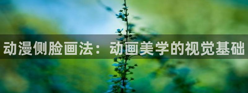 韩国漫画平台kakaopage：动漫侧脸画法：动画美学的视觉基础