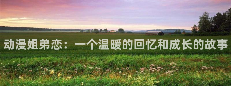 age动漫网：动漫姐弟恋：一个温暖的回忆和成长的故事