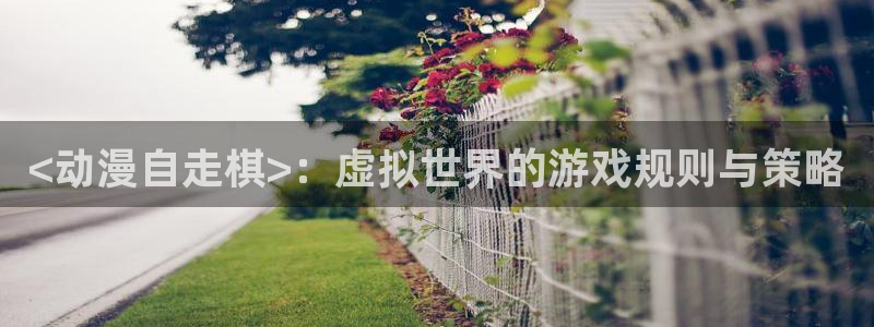 age动漫正版网：<动漫自走棋>：虚拟世界的游戏规则与策略