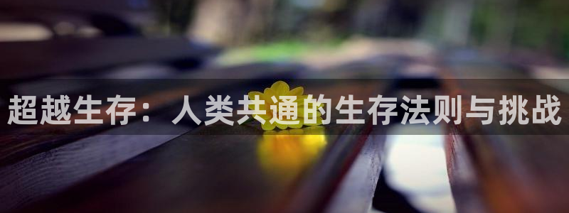 age动漫樱花：超越生存：人类共通的生存法则与挑战
