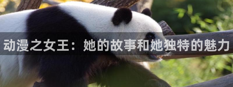 age动漫下载入口：动漫之女王：她的故事和她独特的魅力