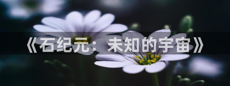 age动漫omofun：《石纪元：未知的宇宙》