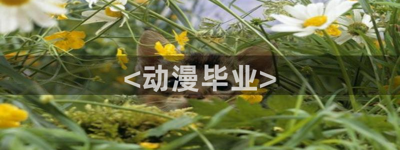colomanage漫画官网：<动漫毕业>