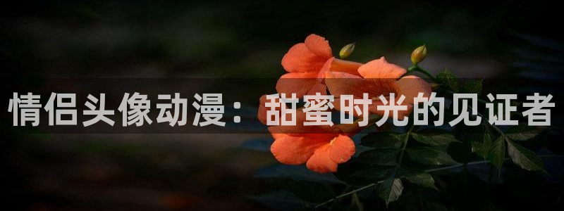 在线动画动漫下载age动漫：情侣头像动漫：甜蜜时光的见证者