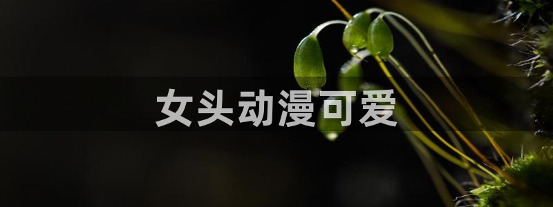 age动漫下载：女头动漫可爱