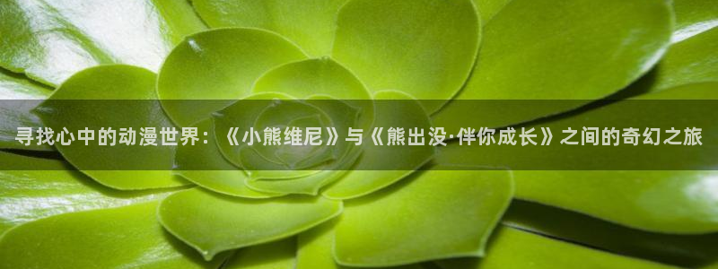 age动漫下载：寻找心中的动漫世界：《小熊维尼》与《熊出没·伴你成长》之间的奇幻之旅