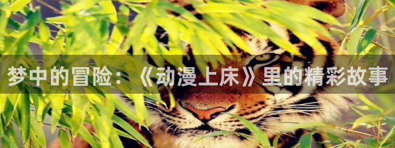 age动漫专注动漫的门户网站：梦中的冒险：《动漫上床》里的精彩故事