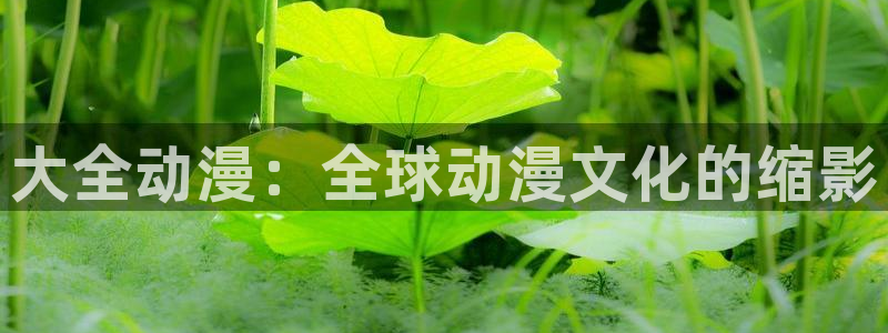 stagenehind韩漫免费观看：大全动漫：全球动漫文化的缩影