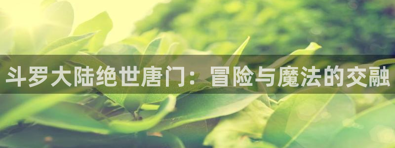 age动漫正版网：斗罗大陆绝世唐门：冒险与魔法的交融