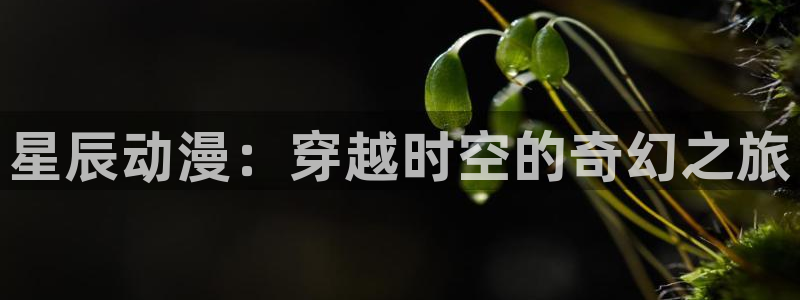 managereader漫画官网入口：星辰动漫：穿越时空的奇幻之旅