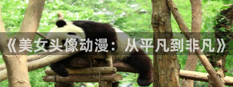 age动漫下载入口：《美女头像动漫：从平凡到非凡》