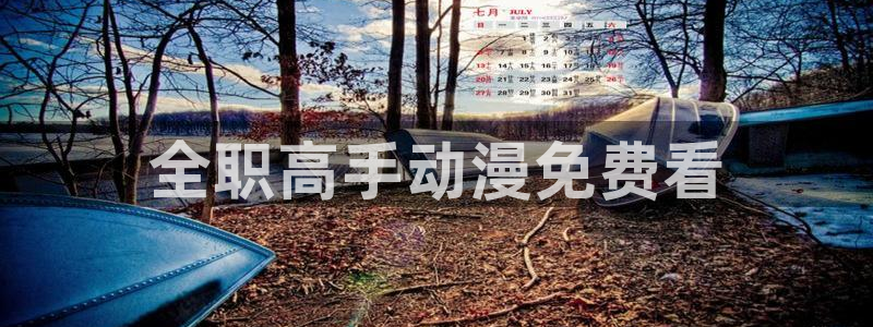 在线动画动漫下载age动漫：全职高手动漫免费看