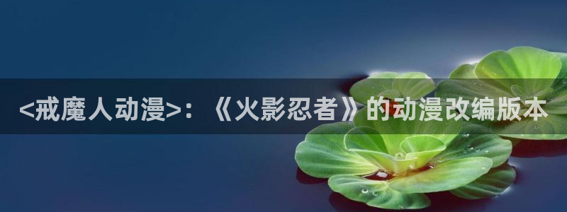 age动漫下载入口：<戒魔人动漫>：《火影忍者》的动漫改编版本