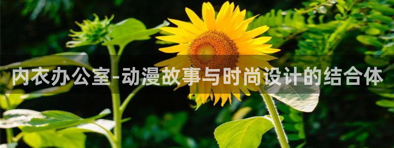 stagenehind韩漫免费观看：内衣办公室-动漫故事与时尚设计的结合体