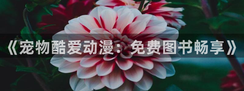 age动漫官网网址：《宠物酷爱动漫：免费图书畅享》